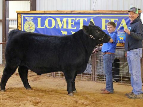 Jace Stewardson was selected as the intermediate showmanship winner for cattle. MASON HINES | DISPATCH RECORD