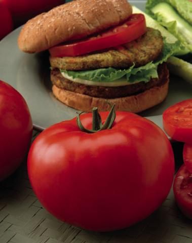 COURTESY PHTO | ALL-AMERICA SELECTIONS Big Beef tomato has remained one of the most popular red tomatoes in North America with its 8- to 12-ounce fruit.