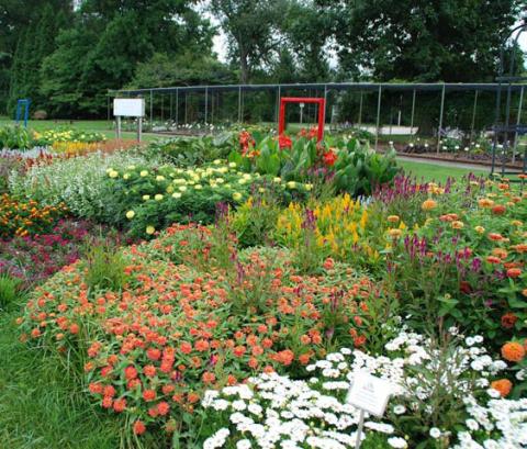 An AAS trial garden at Boerner Botanical Gardens offers a setting that evaluates plants for qualities suitable to the home garden. courtesy photo | melindamyers.com