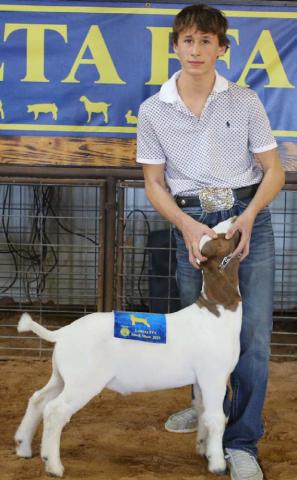 Carson Ingalls won reserve champion market goat honors during the Lometa show. MASON HINES | DISPATCH RECORD