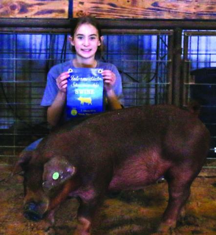 This year’s intermediate swine showmanship winner was Paeton Singleton. MASON HINES | DISPATCH RECORD