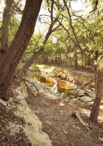 The new hike and bike trail that winds through wooded areas at the 580 Sports Complex is featured among the parks stories in the Guide to Lampasas. ALEXANDRIA RANDOLPH | DISPATCH DISPATCH