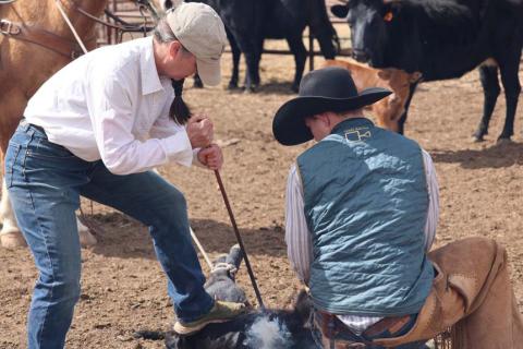 Kyle Peebles is a woman with plenty of grit. Here, she brands a calf while her husband holds the rope tight on horseback and her son keeps the calf still. joycesarah mccabe | dispatch record