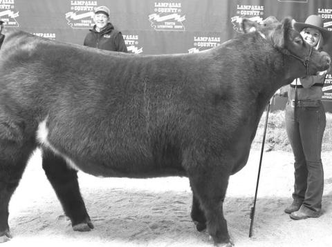 JOYCESARAH MCCABE | DISPATCH RECORD Kari Greiner earned the top award at Saturday’s cattle show, as her steer was named grand champion for 2024. Greiner also was the recipient of the Colorado River Cattlewomen’s First-Time Beef Exhibitor award.