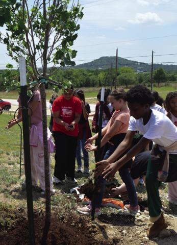 After receiving the OK from administration, Taylor Creek Elementary School students quickly surrounded the new campus tree to help it settle in. ERICK MITCHELL | DISPATCH RECORD