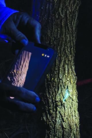 ADAM BARRIOS | DISPATCH RECORD