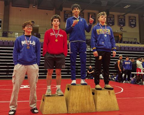 Wrestler wins district title; several others advance to regionals