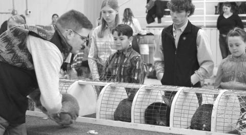 MASON HINES | DISPATCH RECORD Rabbit exhibitors await as the show judge reviews entries in this year’s youth livestock competition.