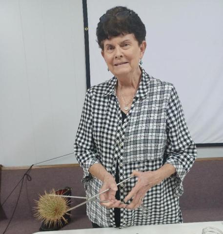 Linda Klose offered members of the L-M Garden and Civic Club a presentation on growing cacti in the Hill Country. courtesy photo