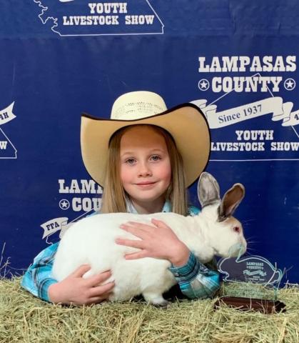 Success at rabbit show