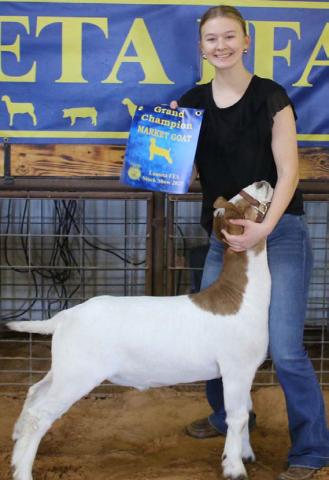 The 2023 grand champion market goat was exhibited by Daecee Ellis. MASON HINES | DISPATCH RECORD