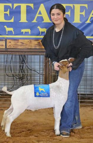 Lorelai Dressel took home the intermediate market goat showmanship award at the Lometa FFA Stock Show last weekend. MASON HINES | DISPATCH RECORD
