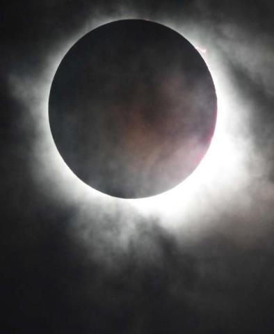 	Game camera captures stellar image