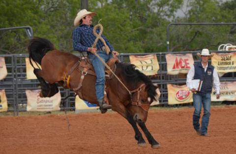 A bronc rider hangs on tight during the 2023 Riata Roundup Rodeo. File photo