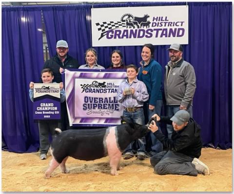 Grand champion breeding gilt named