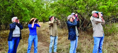 LTX Birders (from left to right) TJ Monroe, Jordan Herbst, Robert Butler, Jimma Byrd, Neal Leavell and Daniel Hodges stand together as they identify and watch a ladder-backed woodpecker, a Downey woodpecker and a red-bellied woodpecker work away at a standing dead tree at Cooper Spring Nature Park. “We never cut down trees here,” Harrell Clary said, “because there is as much life in a dead one as a live one.” JOYCESARAH MCCABE | DISPATCH RECORD