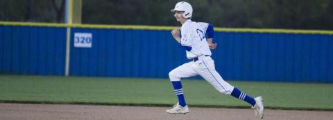 District baseball ends for runner-up Badgers