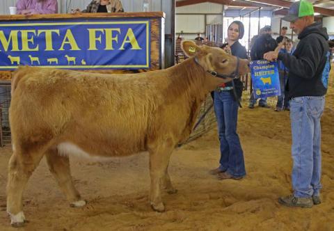 The grand champion heifer was shown by Bailey Mask. MASON HINES | DISPATCH RECORD