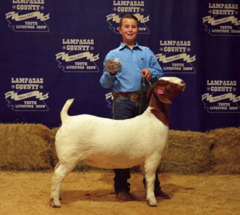 Wyatt Tucker took home Intermediate Showmanship honors in the breeding goat division. ERICK MITCHELL | DISPATCH RECORD
