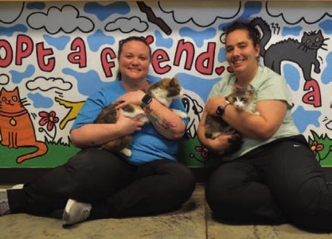 Lampasas Animal Shelter Supervisor Kasey Schwartzer and S.A.F.E. representative Ashley Raley have teamed up to help benefit the local shelter. ERICK MITCHELL | DISPATCH RECORD