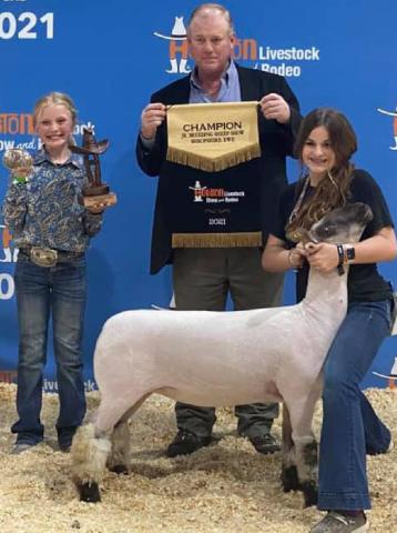Sheep places at Houston Livestock Show