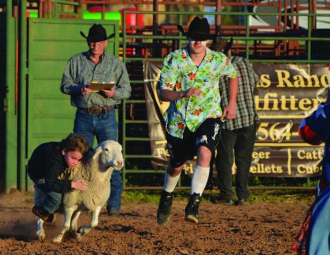 Youngsters attempted to hold on for a sheep ride in Friday’s mutton bustin’ event at the annual Diamondback Jubilee. ERICK MITCHELL | DISPATCH RECORD