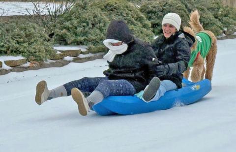 Lucy McCarville and Amaisha Rendon sled down North Avenue with Steel the poodle in tow. KIM JOHNSON | C0URTESY PHOTO