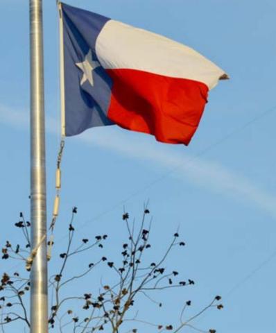 This Texas flag flies over a pecan tree, the official state tree. FILE PHOTO