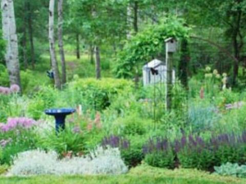 Include habitat features in your garden and landscape that are needed to attract and sustain the wildlife you are trying to benefit. MELINDAMYERS.COM | COURTESY PHOTO