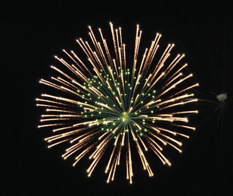 The special pyrotechnics begin around 9:15 p.m., after Gospel Night. The park is one of many vantage points around the city where the fireworks can be veiwed. FILE PHOTO