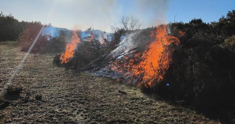 Stop wildfires before they start: summer safety tips offered