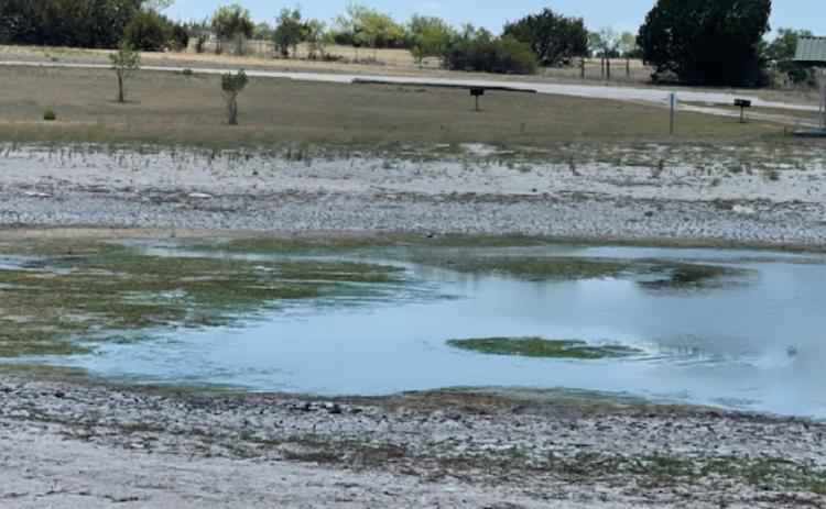 Lampasas County, along with most of the state, is experiencing some form of drought and scorching temperatures. Pictured here is the pond in Lometa, which shows low water levels. MASON HINES | DISPATCH RECORD