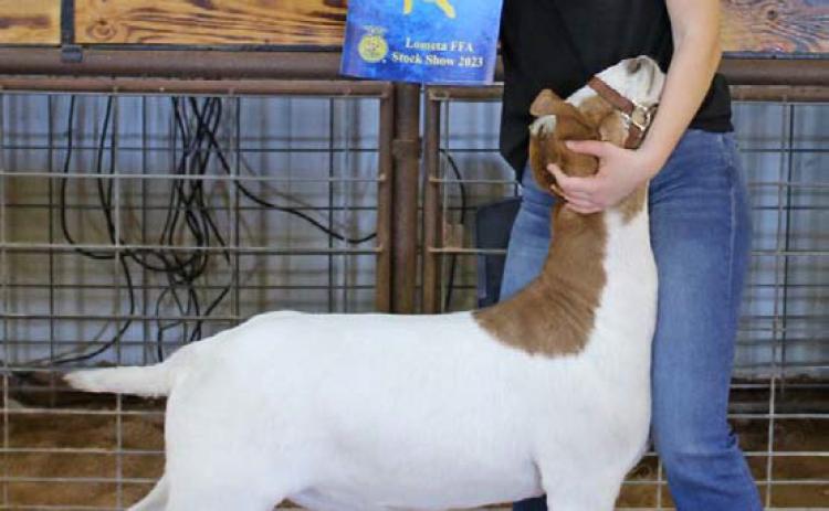 FILE PHOTOT Daecee Ellis showed the grand champion market goat at last year’s Lometa FFA Livestock Show. Banners will be awarded to multiple exhibitors this year as they prepare for the major shows.