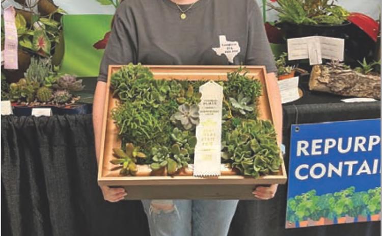 COURTESY PHOTO Karli Wiley won third place in the “Repurposed Container Grown Planters” with her succulents frame.