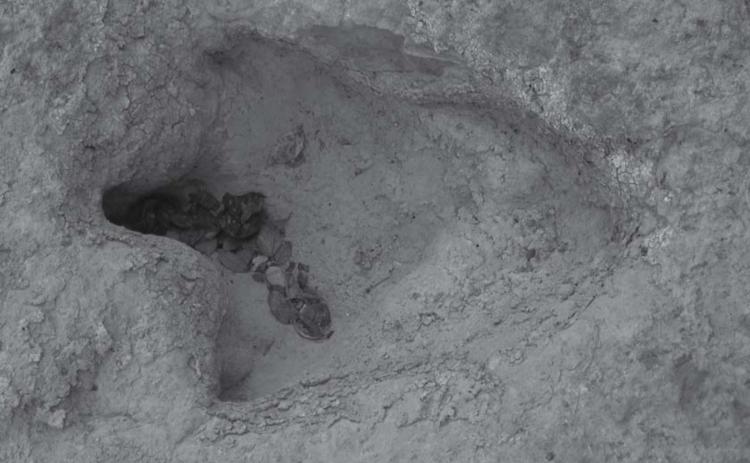 Dinosaur tracks can be found in Lampasas County near the Lampasas River. JEFF JACKSON | COURTESY PHOTO