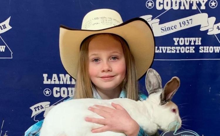 Success at rabbit show