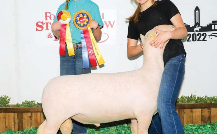 Student exhibits lamb at Fort Worth show
