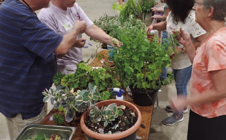 Members of the Highland Lakes Master Gardener Association are knowledgeable about a number of horticulture practices and share that through community service projects. A new class for Master Gardener certification will be offered in February. COURTESY PHOTO