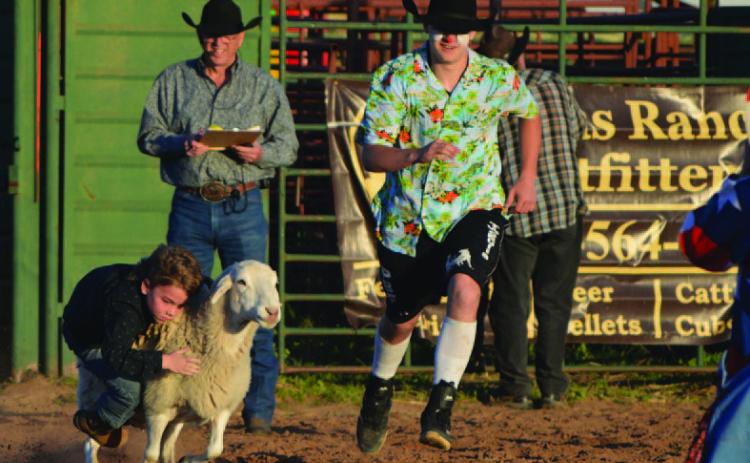 Youngsters attempted to hold on for a sheep ride in Friday’s mutton bustin’ event at the annual Diamondback Jubilee. ERICK MITCHELL | DISPATCH RECORD