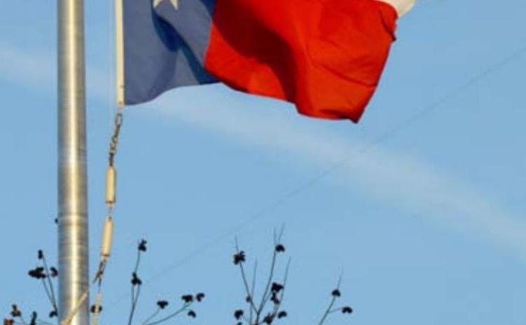 This Texas flag flies over a pecan tree, the official state tree. FILE PHOTO