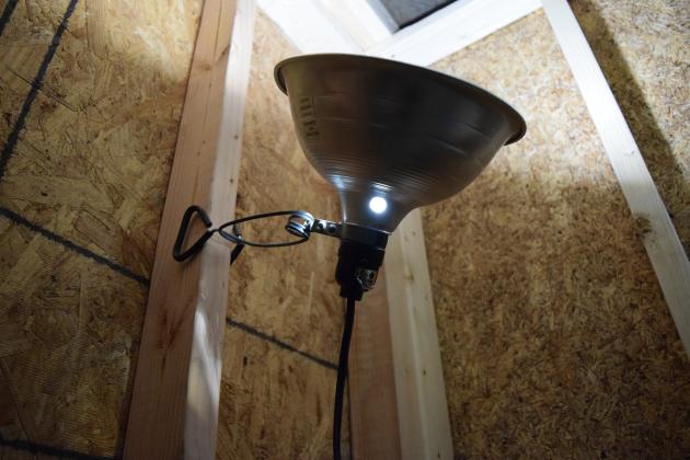 Heat lamps for livestock can be made safer by using clamps to secure them above an animal's reach. ALEXANDRIA RANDOLPH | DISPATCH RECORD