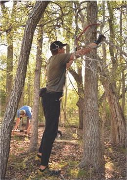 Rob Shivers trims back a limb that extends into the trail corridor pathway. ALEXANDRIA RANDOLPH | DISPATCH RECORD
