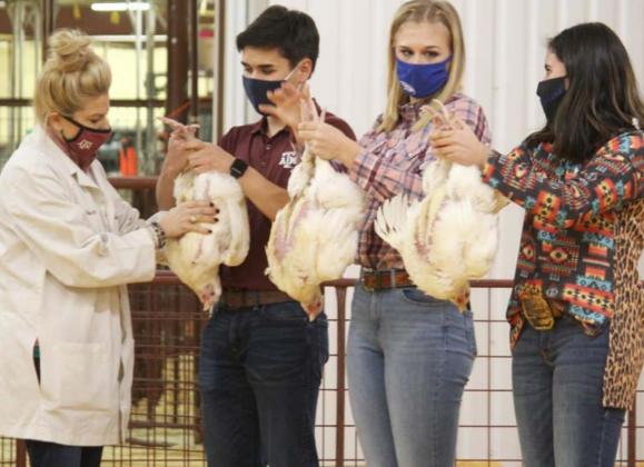 Stock show features variety of competitions