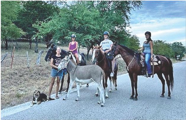 One must be cautious of horses and riders on rural roads. Sadie, Denise, Carlotta and Soleta frequently travel this road as they ride. JOYCESARAH MCCABE | DISPATCH RECORD