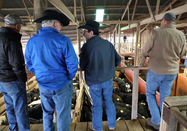 Senator Pete Flores, third from left, visits with Mickey Edwards and other ag producers at Lampasas Cattle Auction Wednesday morning as they discuss cattle numbers and market concerns before Flores met with Lampasas County Farm Bureau members. JOYCESARAH MCCABE | DISPATCH RECORD