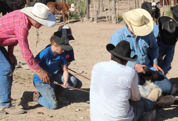 Three generation work cattle on a family ranch. Teaching always slows down the progress of the work, but if the next generation isn’t taught, who will carry on? joycesarah mccabe | dispatch record