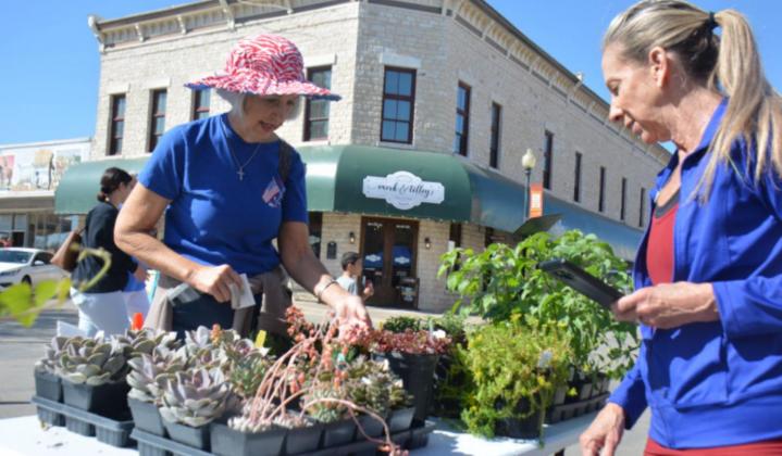 Sheila Bean, left, inquires about succulents while visiting with Rumley Nursery owner Donna Keitch during Saturday’s Spring Fest. MONIQUE BRAND | DISPATCH RECORD