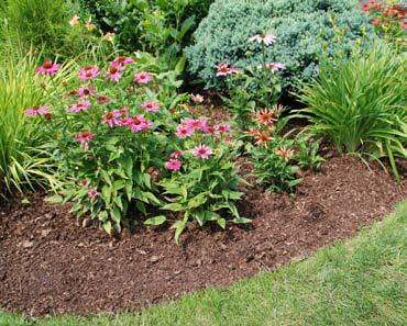 Beneficial shredded leaf mulch is added to a fall perennial garden. COURTESY PHOTO | WWW.MELINDAMYERS.COM