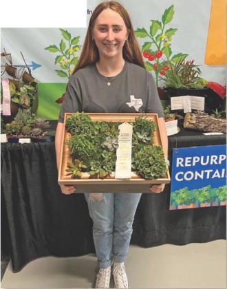 COURTESY PHOTO Karli Wiley won third place in the “Repurposed Container Grown Planters” with her succulents frame.