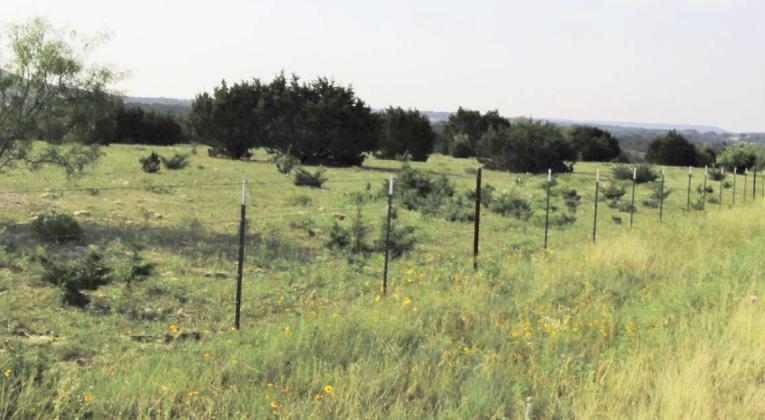 Healthy native grass and vegetation grow outside this ranch fence, while sparse and undesirable green weeds grow inside the fence due to overgrazing during last year’s drought. Joycesarah McCabe | Dispatch Record